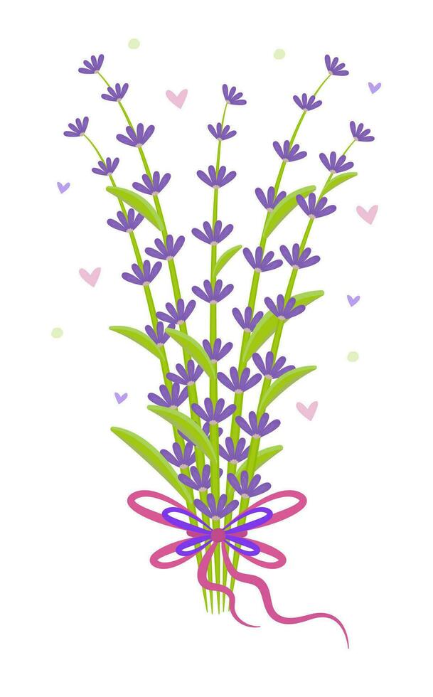 Bouquet of lavender with a bow, colorful illustration vector