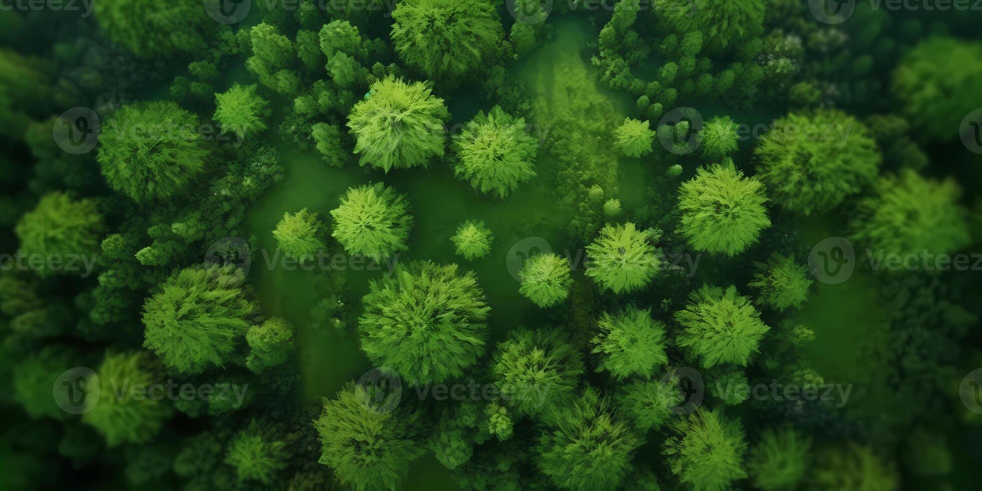 verde pino bosque borroso fondo, ai generado foto