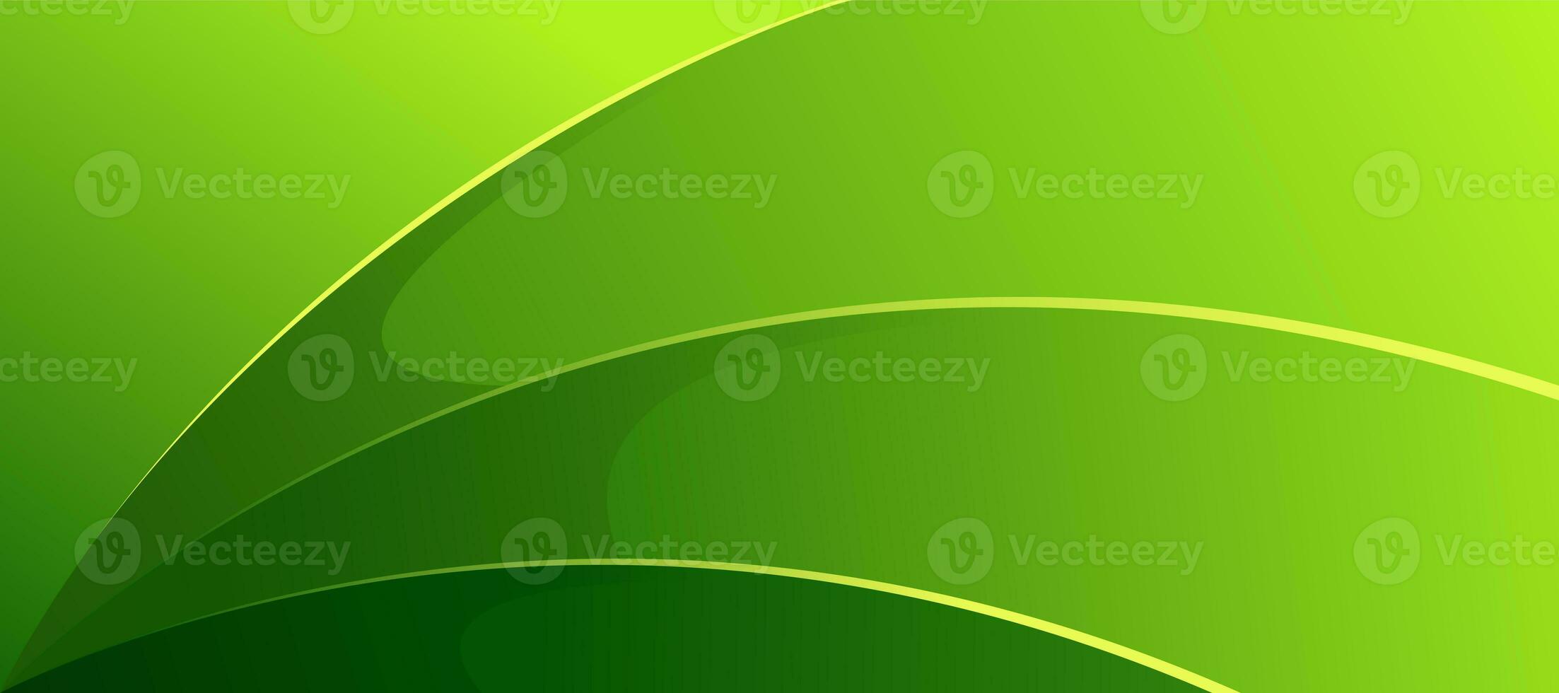 Modern abstract green background with elegant elements vector illustration photo