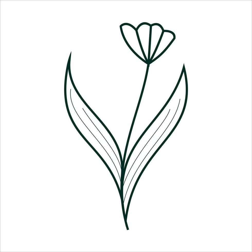 Botanical leaf doodle wildflower line art vector