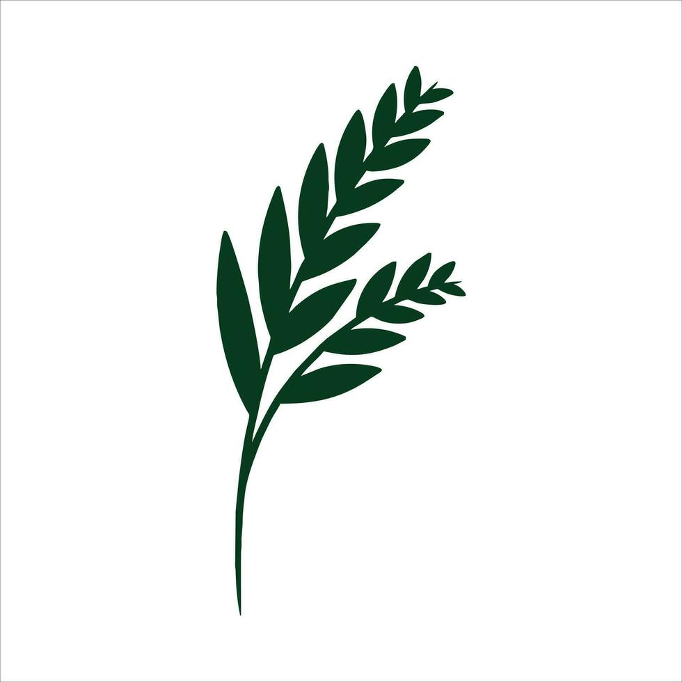 Botanical leaf doodle wildflower line art vector