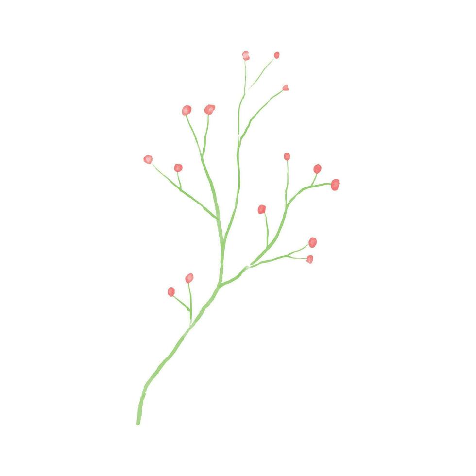 Botanical leaf doodle wildflower line art vector