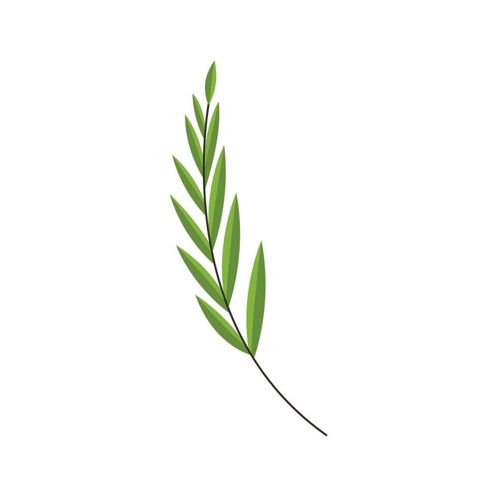 Botanical leaf doodle wildflower line art vector