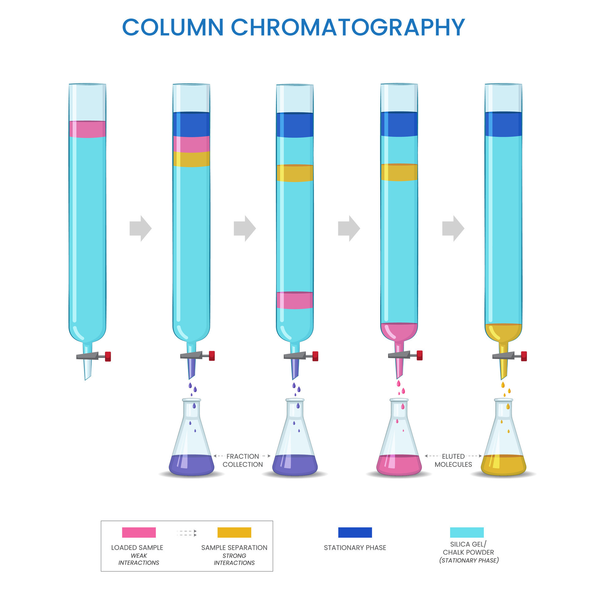 Column Chromatography Separates Components Based On Adsorption And universal-column-free-cad-drawings