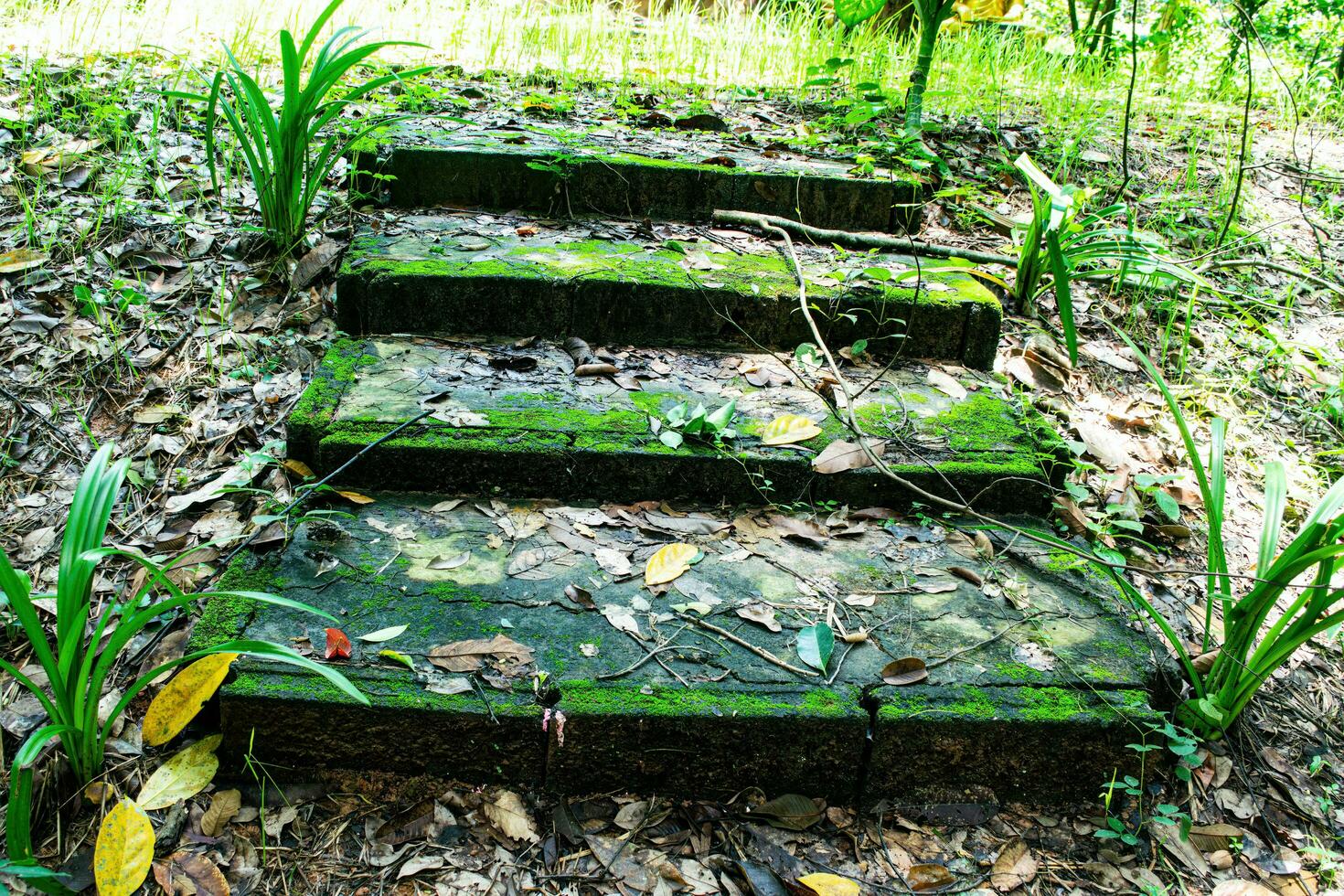old cement stairs to palace, vintage style photo