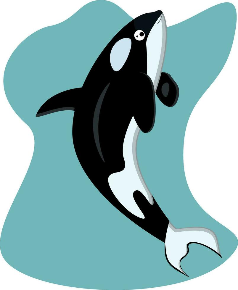 killer whale, marine animals, vector illustration