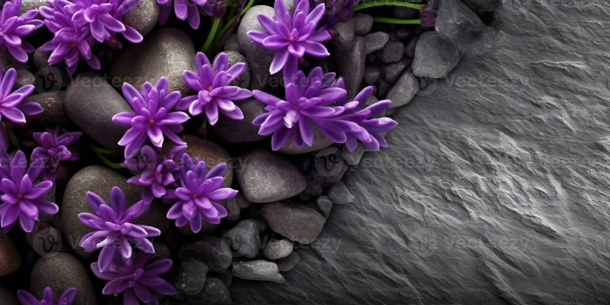Beauty xerophyllum flower, garden decoration, copy space blurred background, AI Generated photo