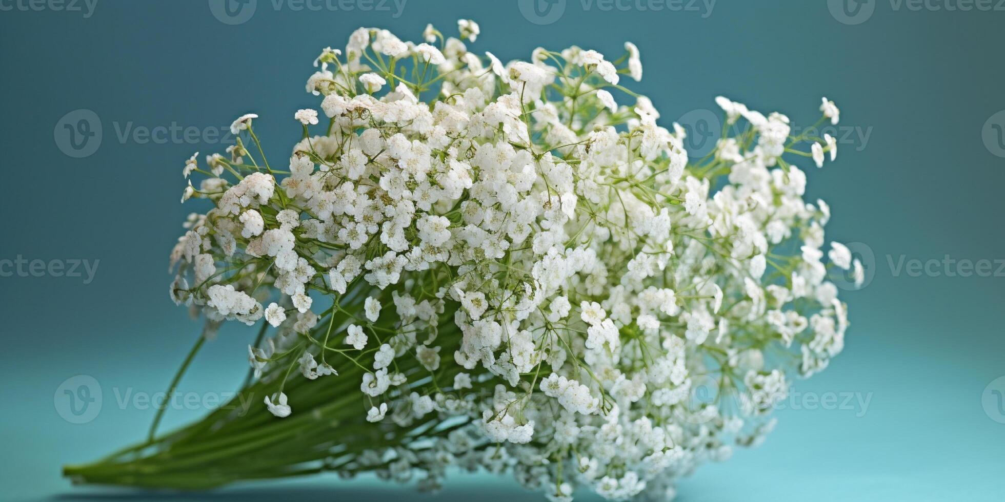 Beauty baby breath flower, garden decoration, copy space background, photo