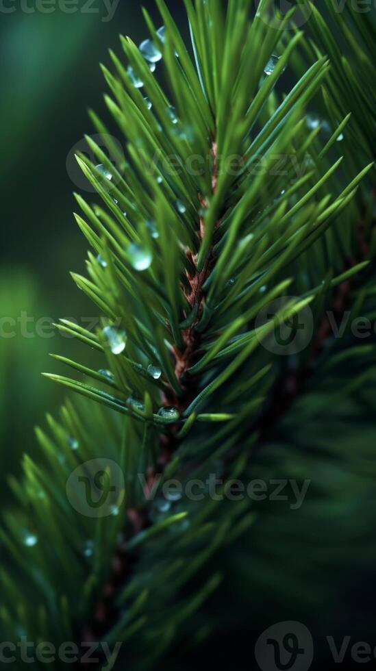 Pine tree macro photo wallpaper background. AI Generated,