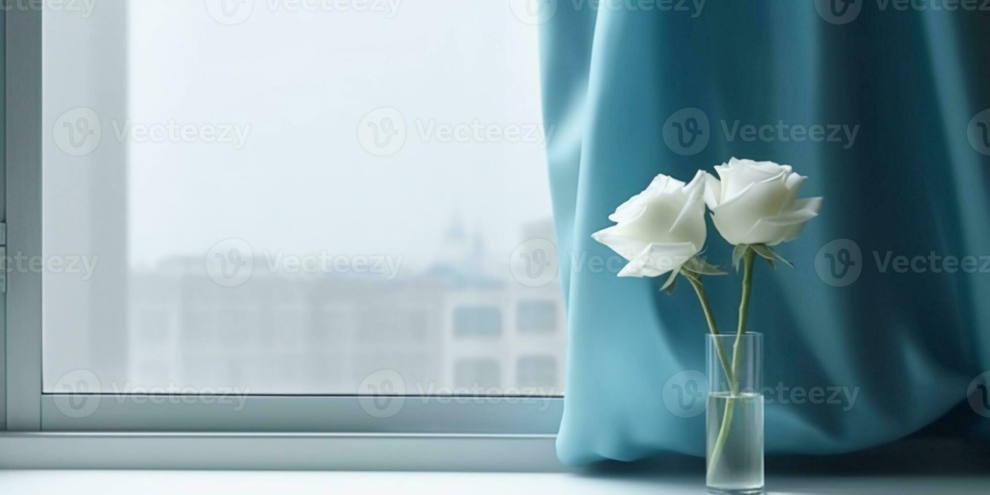White rose flower and window with sun light copy space blurred background, AI Generated photo
