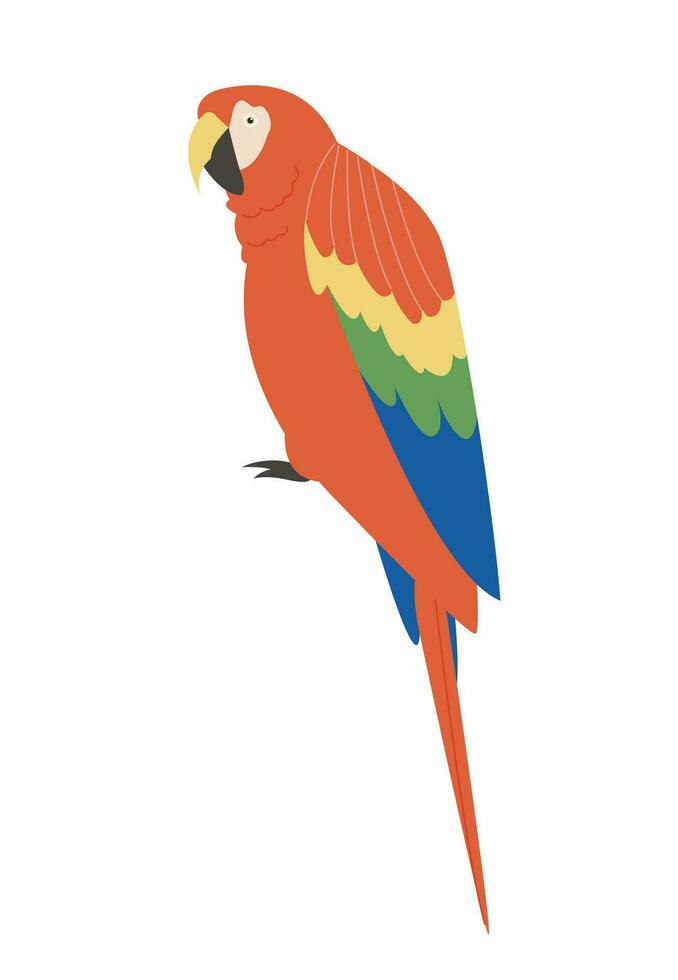 Parrot perched on a branch Realistic hand drawn style illustration. vector