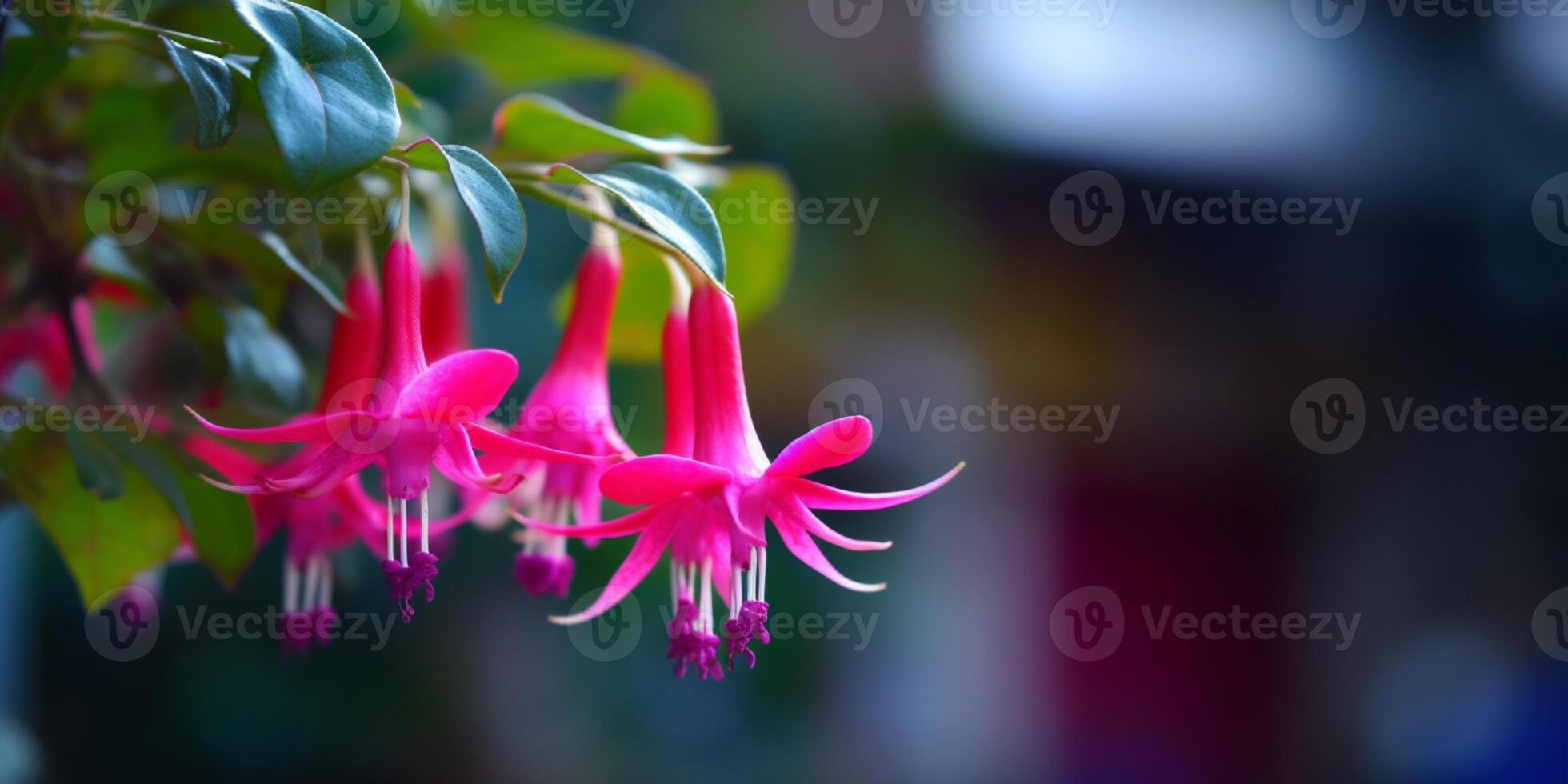 Fuchsia pink flower copy space blurred background, AI Generated photo