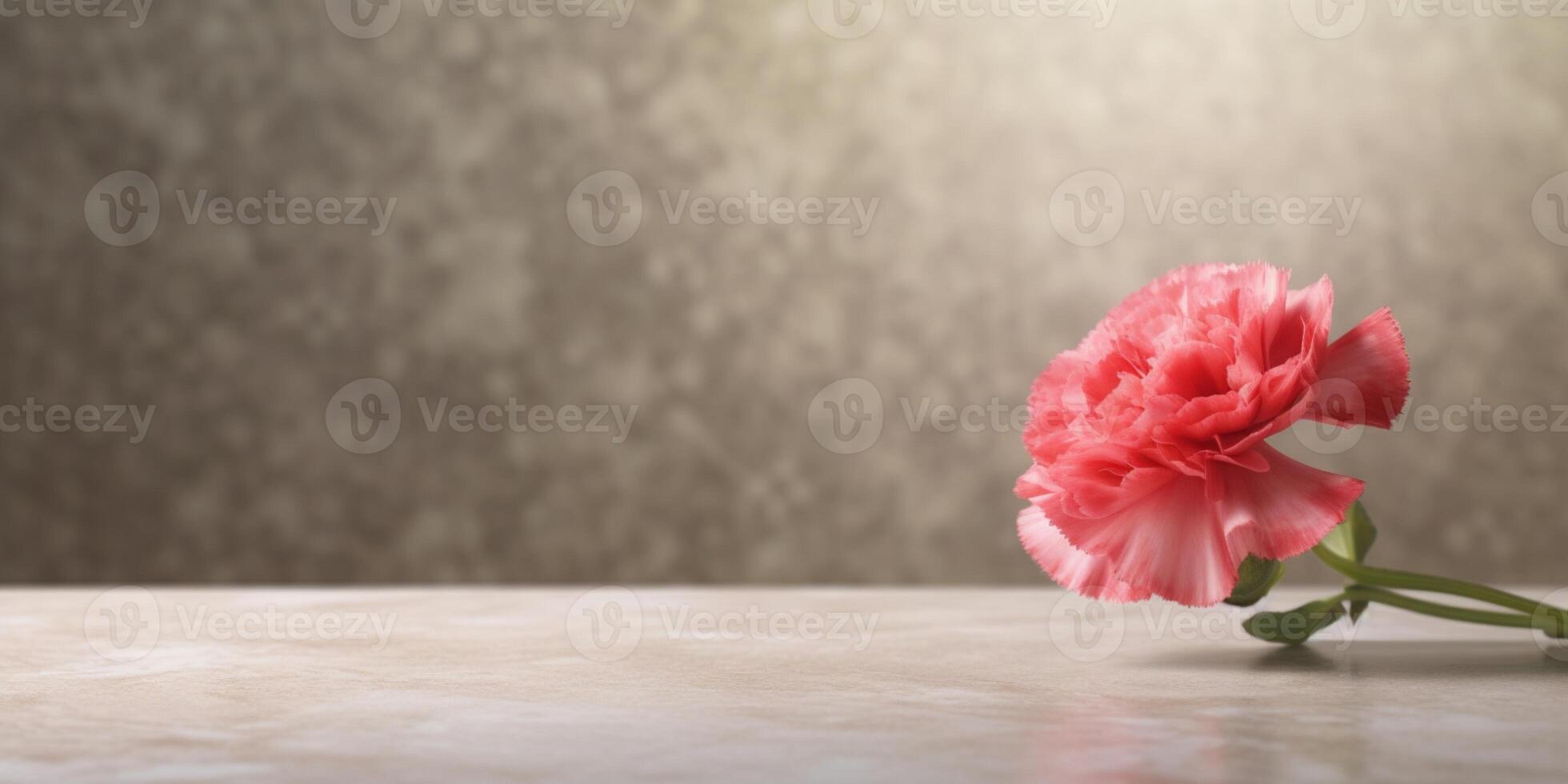 Carnation flower copy space blurred background, photo