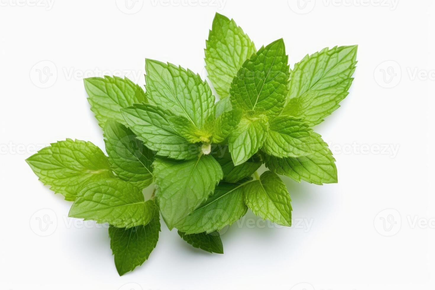 Mint leaves isolated on white background. Generative AI photo