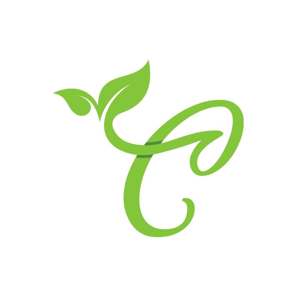 Combination of leaf and initial letters C logo design vectors