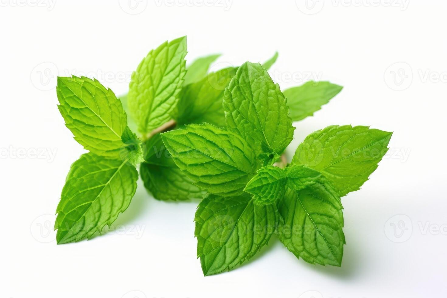 Mint leaves isolated on white background. photo