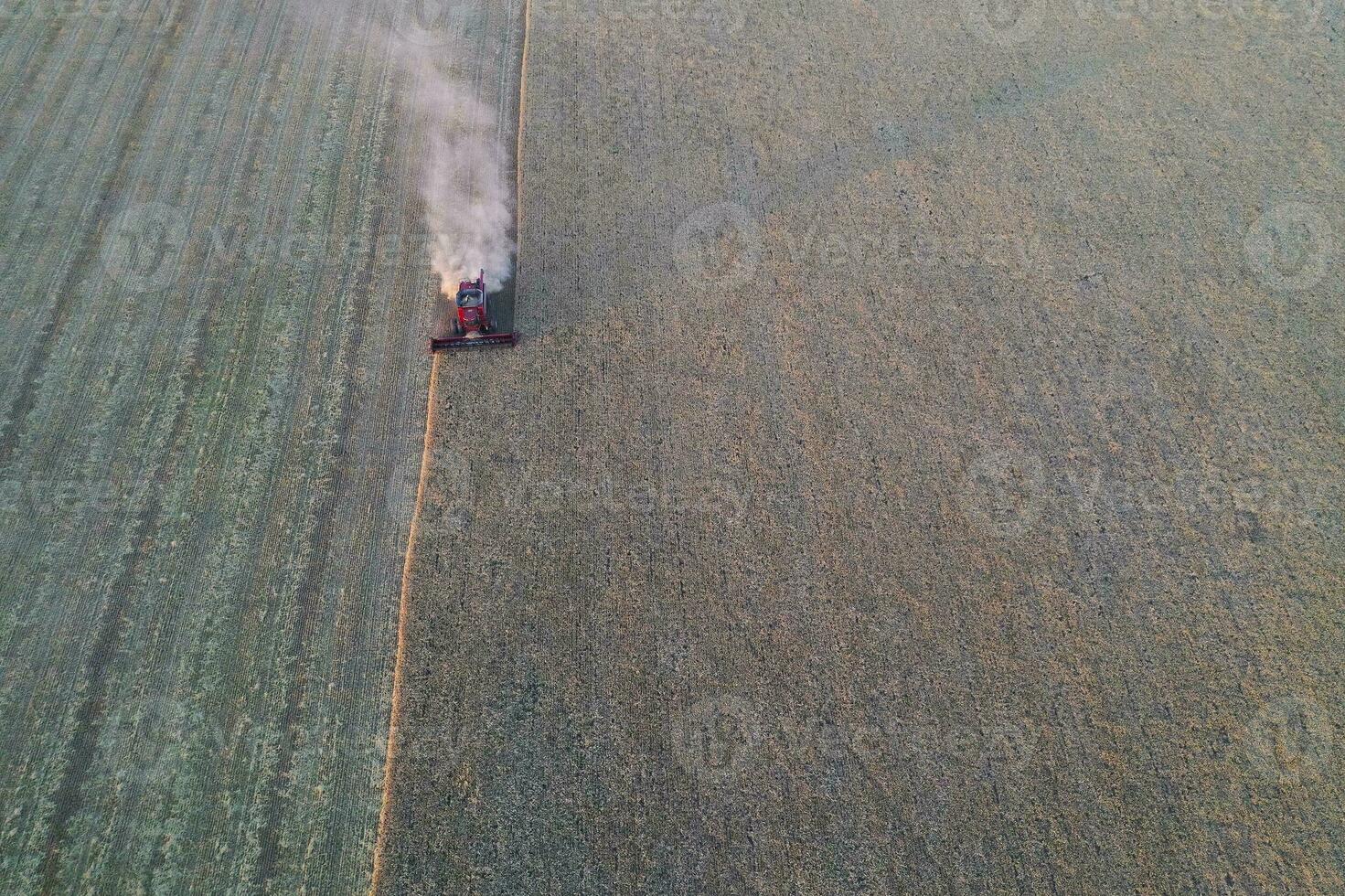 Barley harvest aerial view, in La Pampa, Argentina. photo