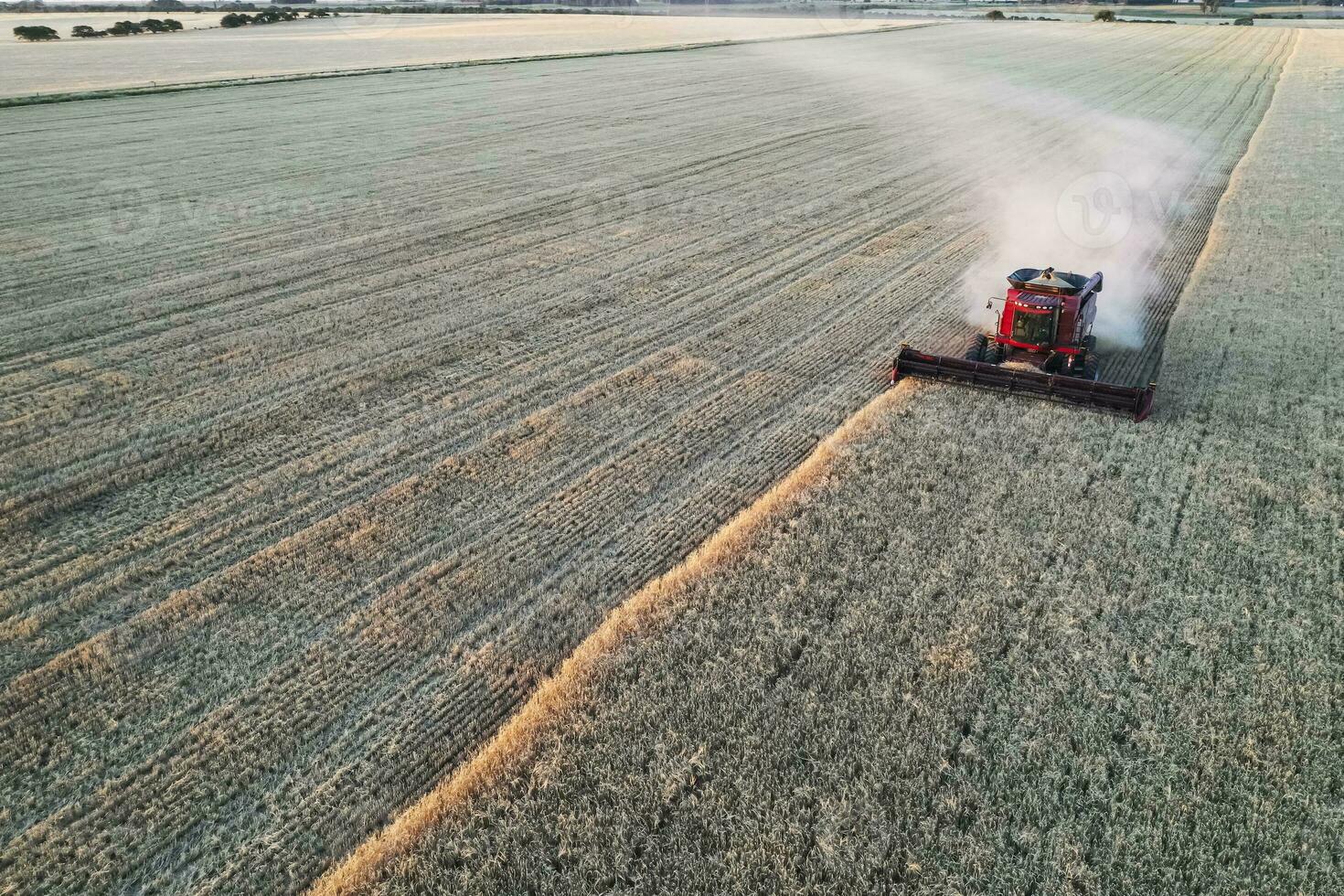 Barley harvest aerial view, in La Pampa, Argentina. photo