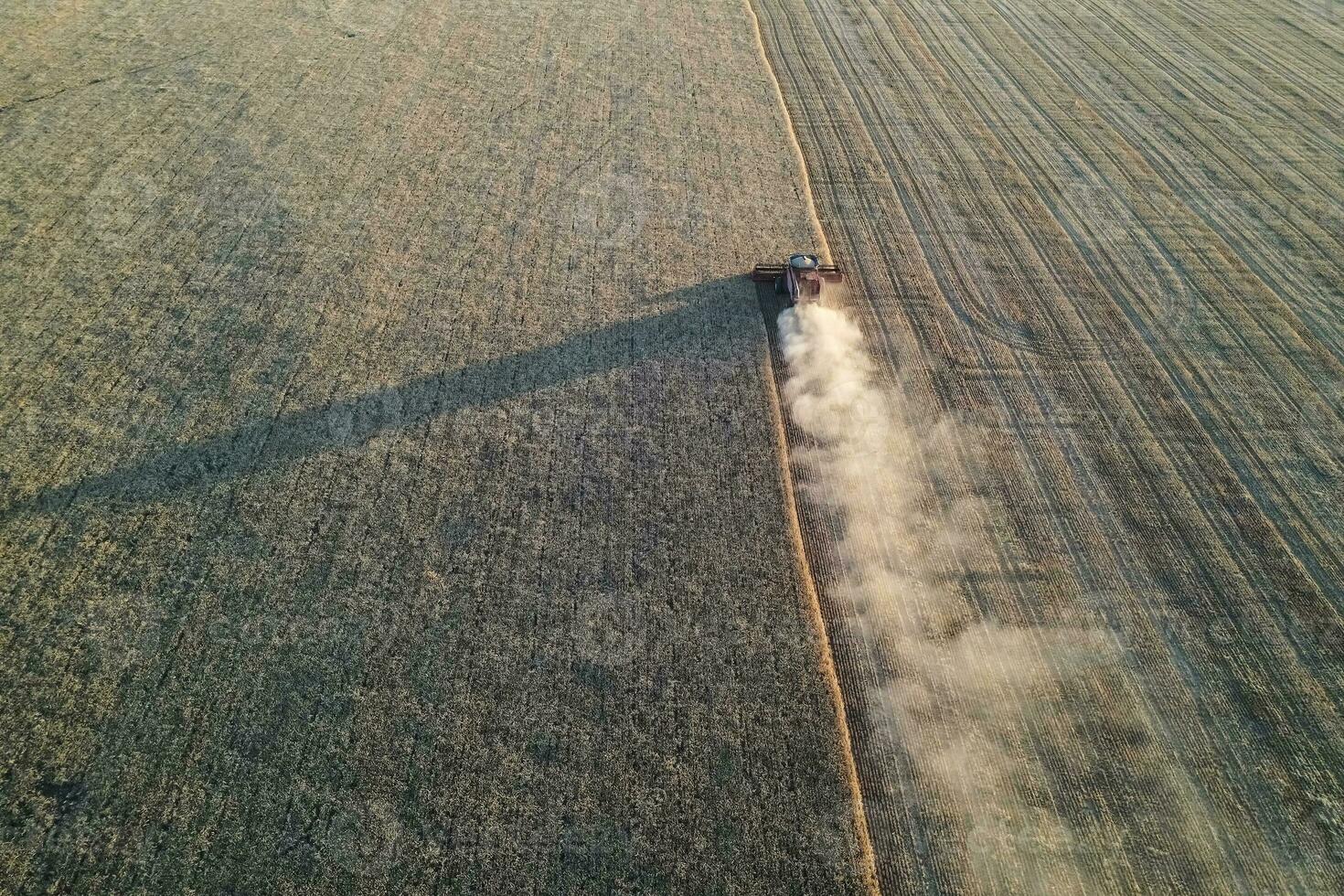 Wheat harvest in the Argentine countryside, La Pampa province, Patagonia, Argentina. photo