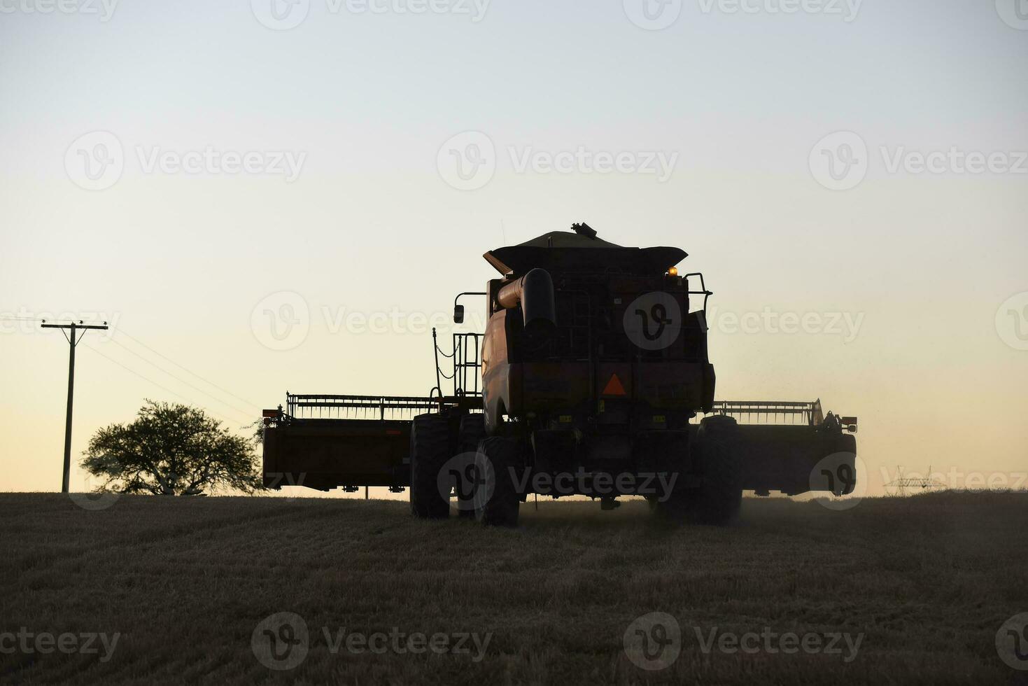 segador máquina, cosecha en el argentino campo, buenos aires provincia, argentina. foto