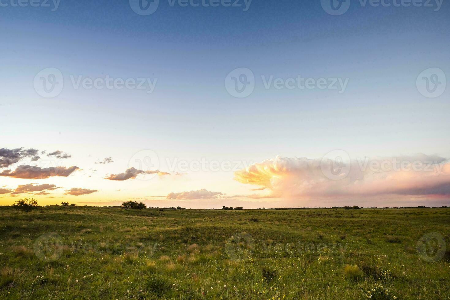 paisaje en la pampa argentina a atardecer, la pampa provincia, Patagonia, argentina. foto