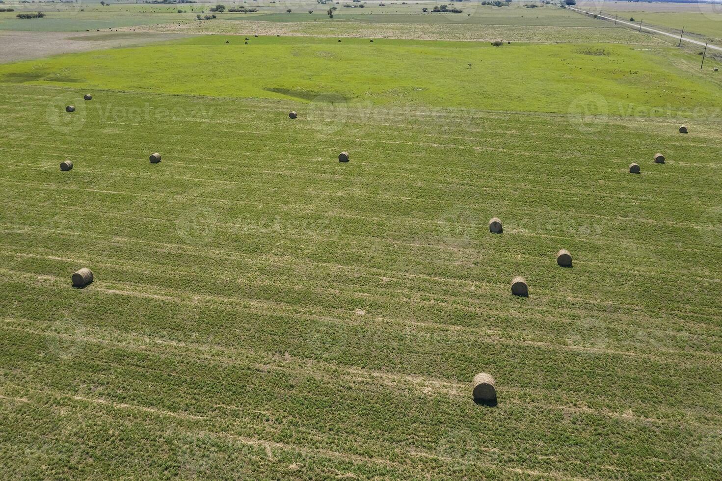 Grass bale, grass storage in La Pampa countryside, Patagonia,Argentina. photo