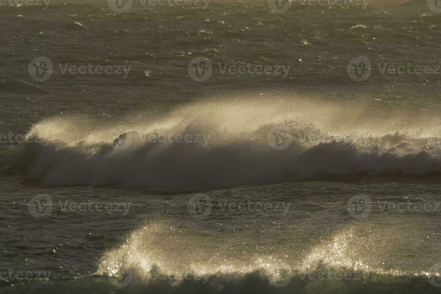 Waves with strong wind after a storm, Patagonia, Argentina. photo