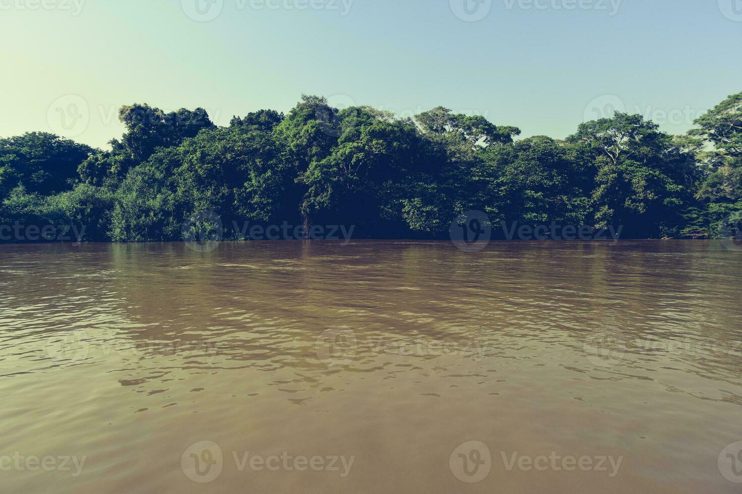 Pantanal forest ecosystem, Mato Grosso, Brazil photo