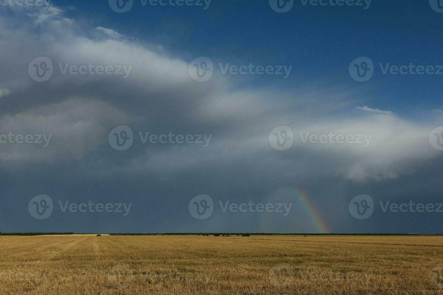 Threatening storm clouds, Pampas, Patagonia, Argentina photo