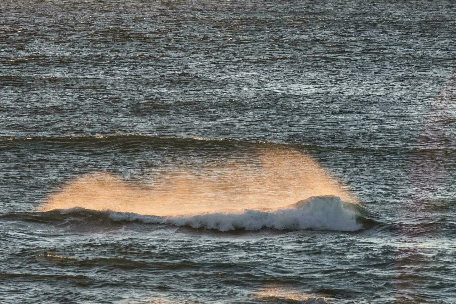 Waves with strong wind after a storm, Patagonia, Argentina. photo