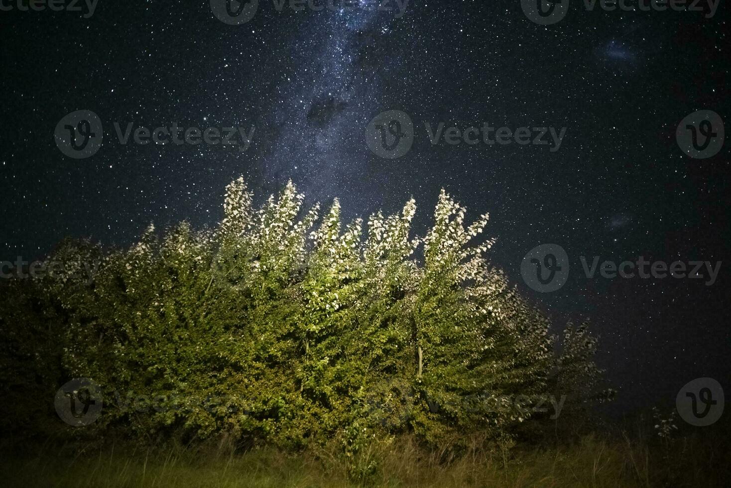 Pampas landscape photographed at night with a starry sky, La Pampa province, Patagonia , Argentina. photo
