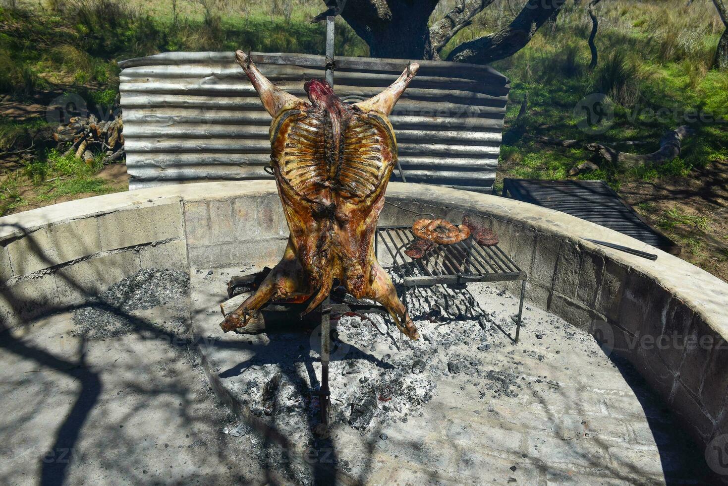 Lamb on the spit, cooked with the traditional Argentine method, La Pampa province, Patagonia, Argentina. photo