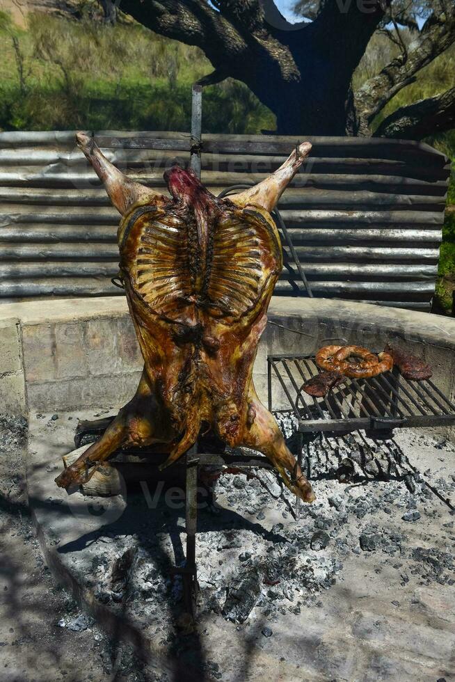 Lamb on the spit, cooked with the traditional Argentine method, La Pampa province, Patagonia, Argentina. photo