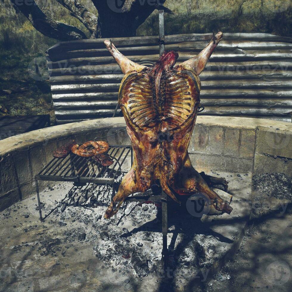 Lamb on the spit, cooked with the traditional Argentine method, La Pampa province, Patagonia, Argentina. photo