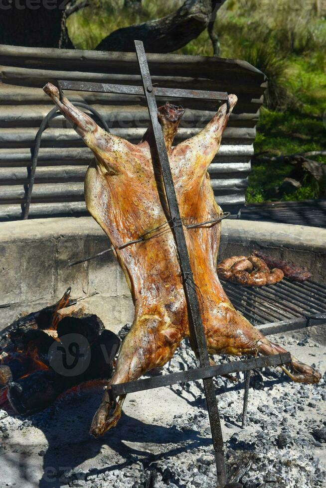 Lamb on the spit photo