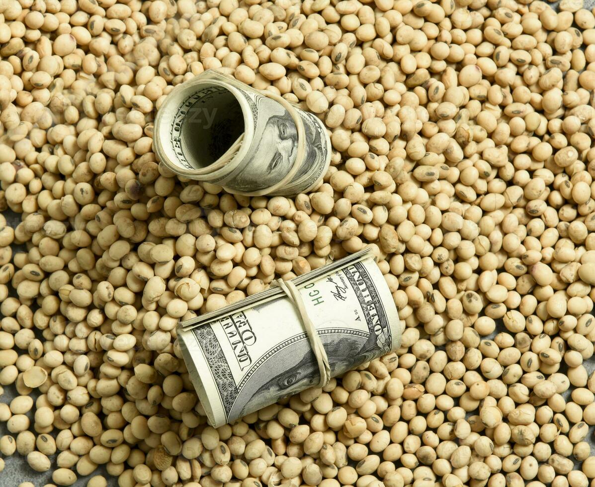 Dollars banknotes and coins and soy beans,oleaginous commoditi value concept. photo