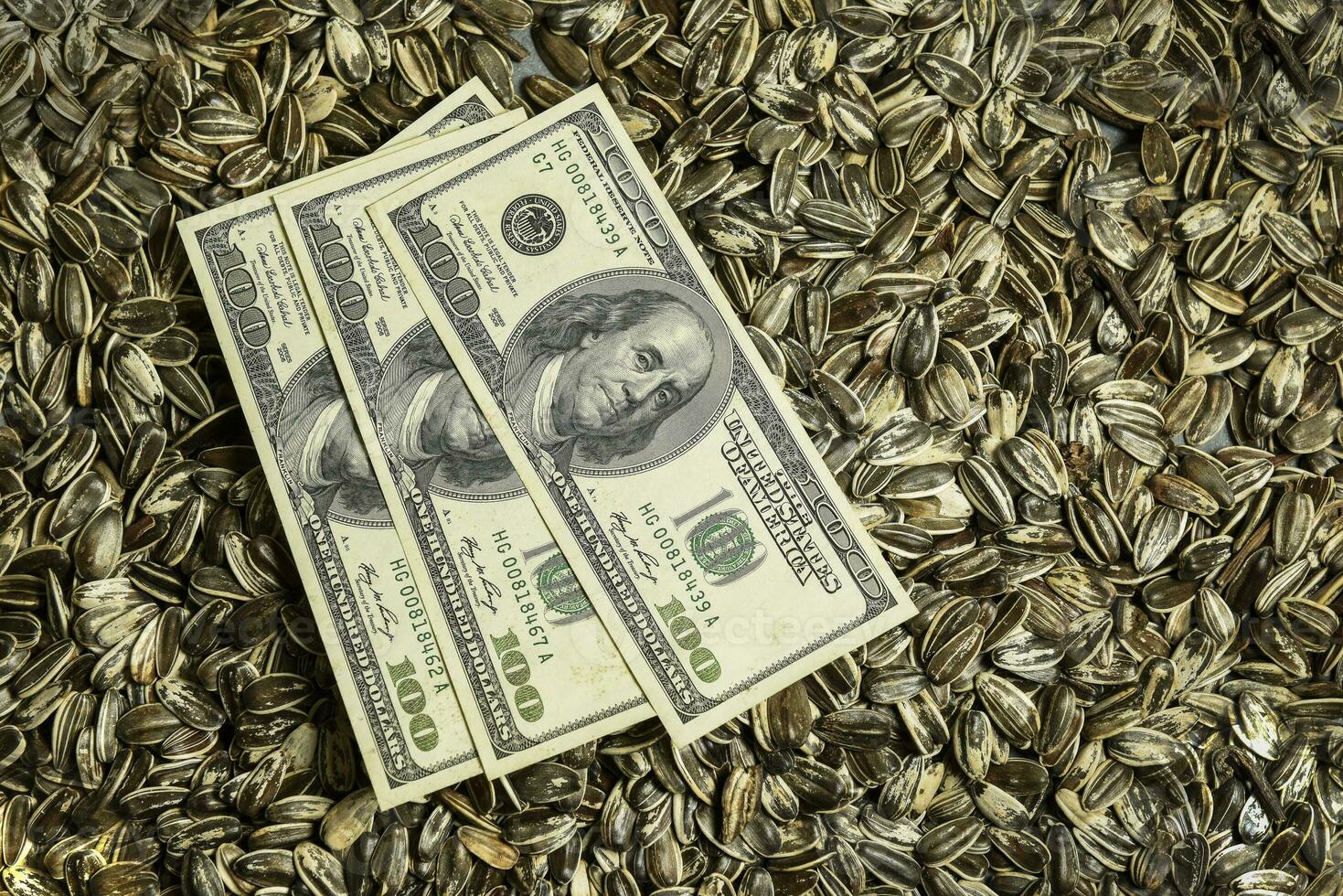 Dollars banknotes and sunflower seeds, oleaginous Commodity value concept. photo