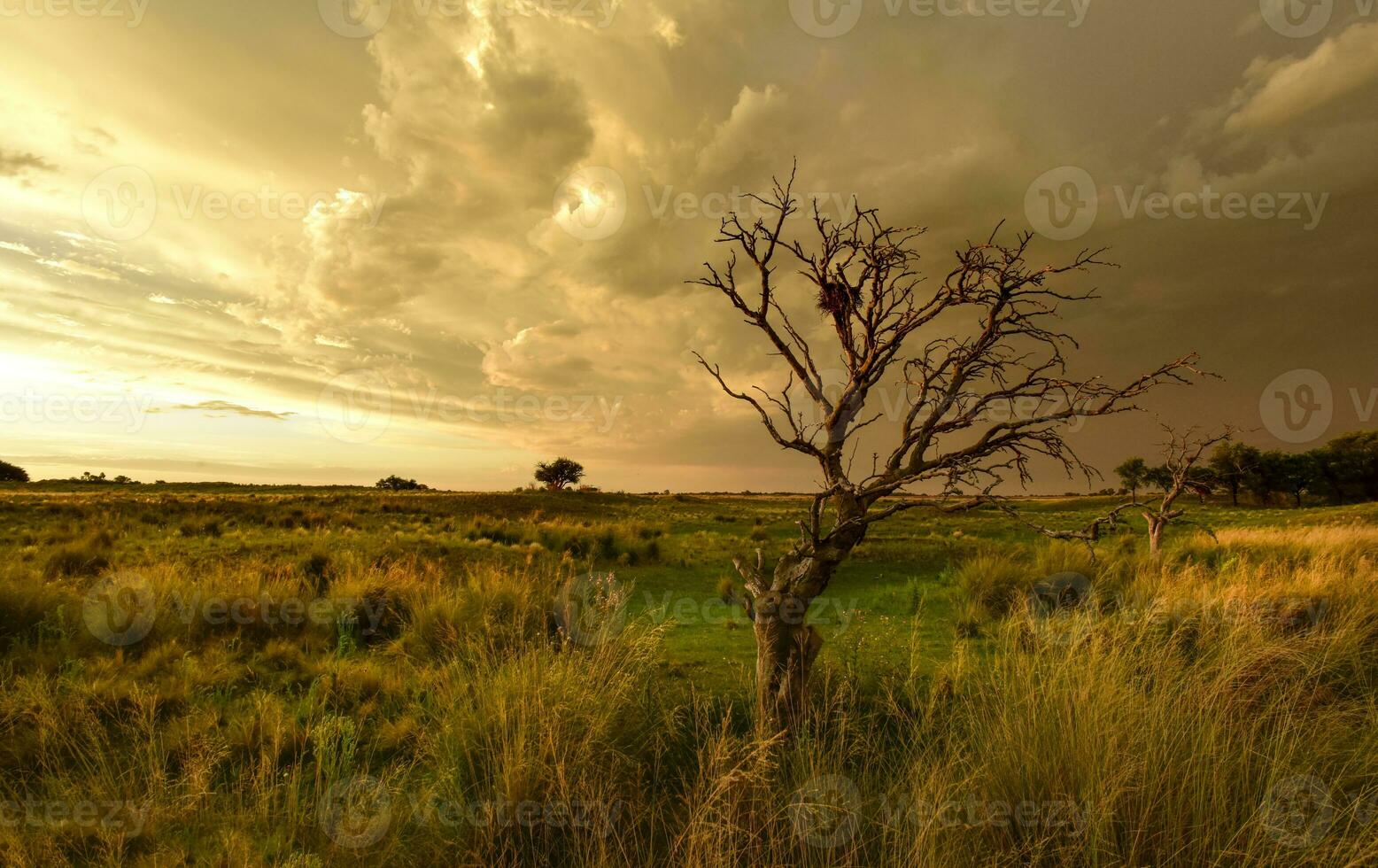 Stormy landscape, La pampa, Patagonia, Argentina photo