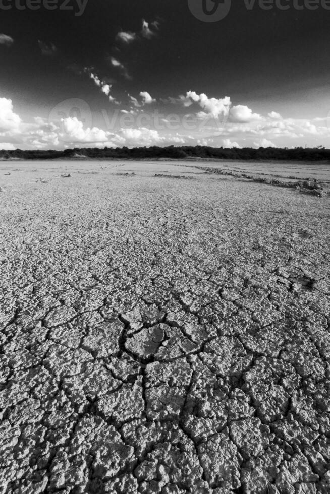 Broken dry soil in a Pampas lagoon, La Pampa province, Patagonia, Argentina. photo