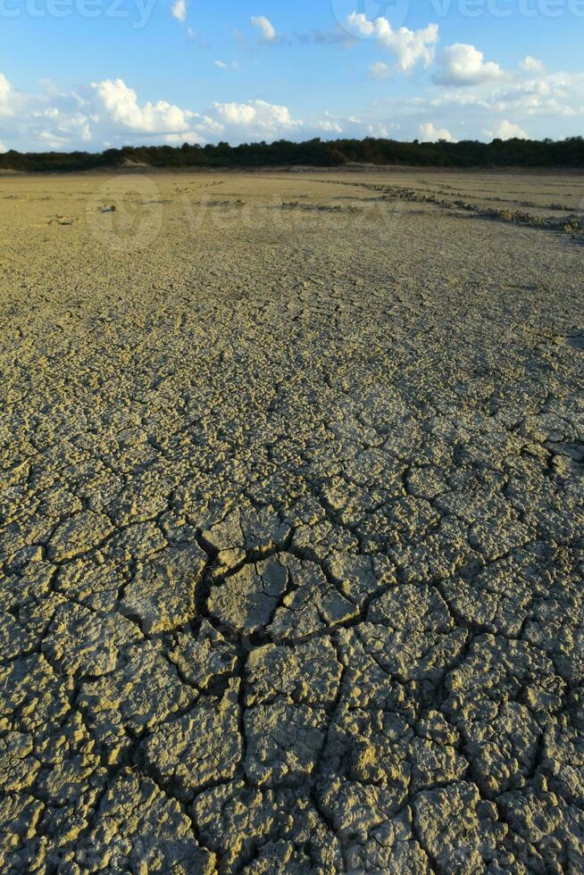 Broken dry soil in a Pampas lagoon, La Pampa province, Patagonia, Argentina. photo