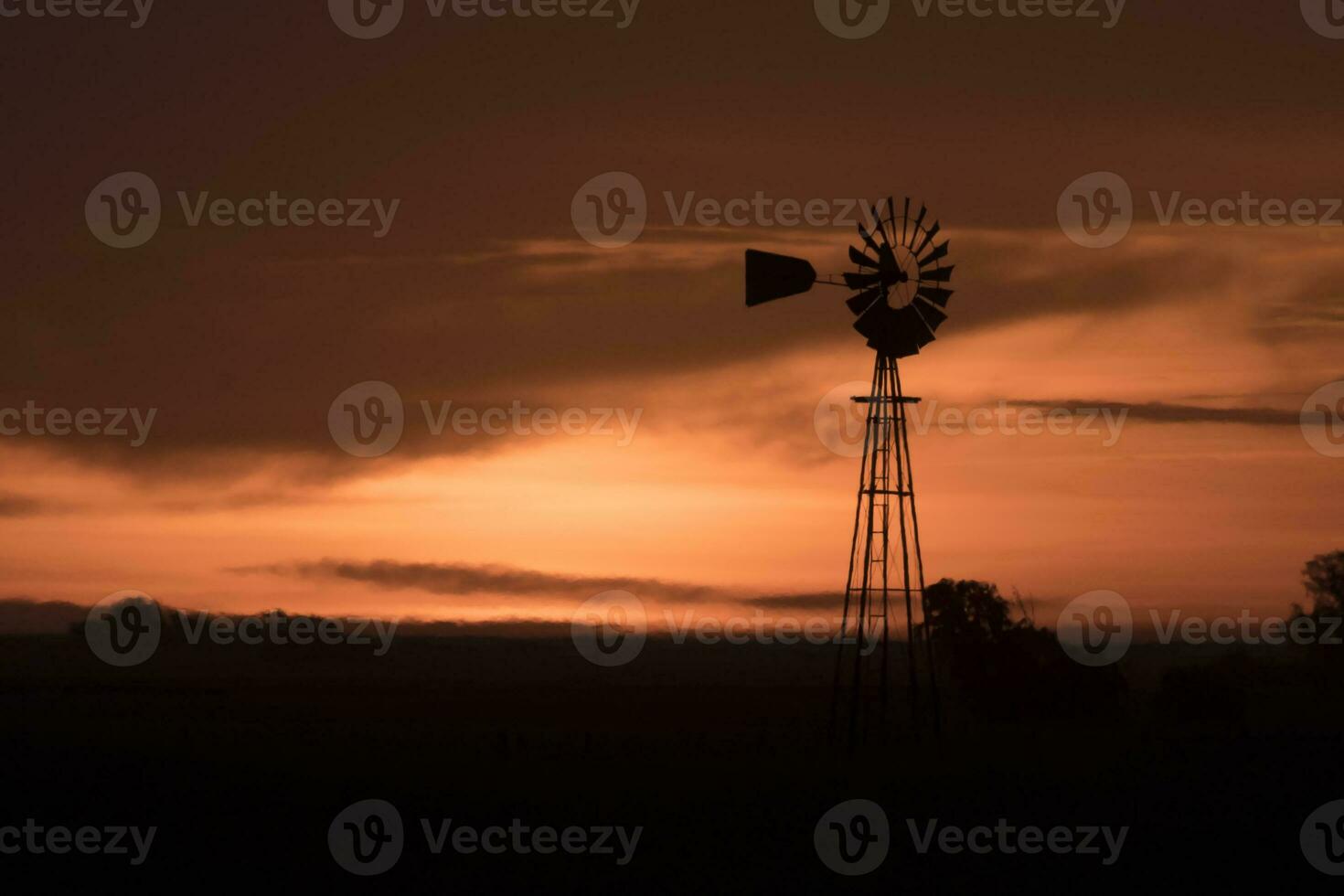 Pampas sunset landscape, La pampa, Argentina photo