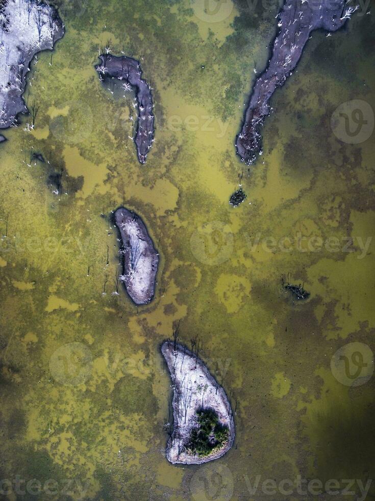 rebaño de aves , aéreo ver foto