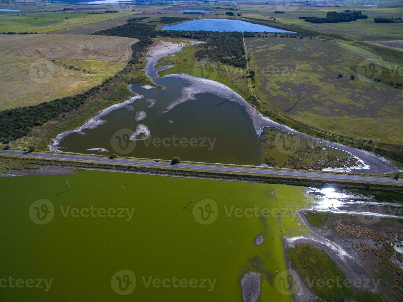 Pampas lagoon, aerial view photo