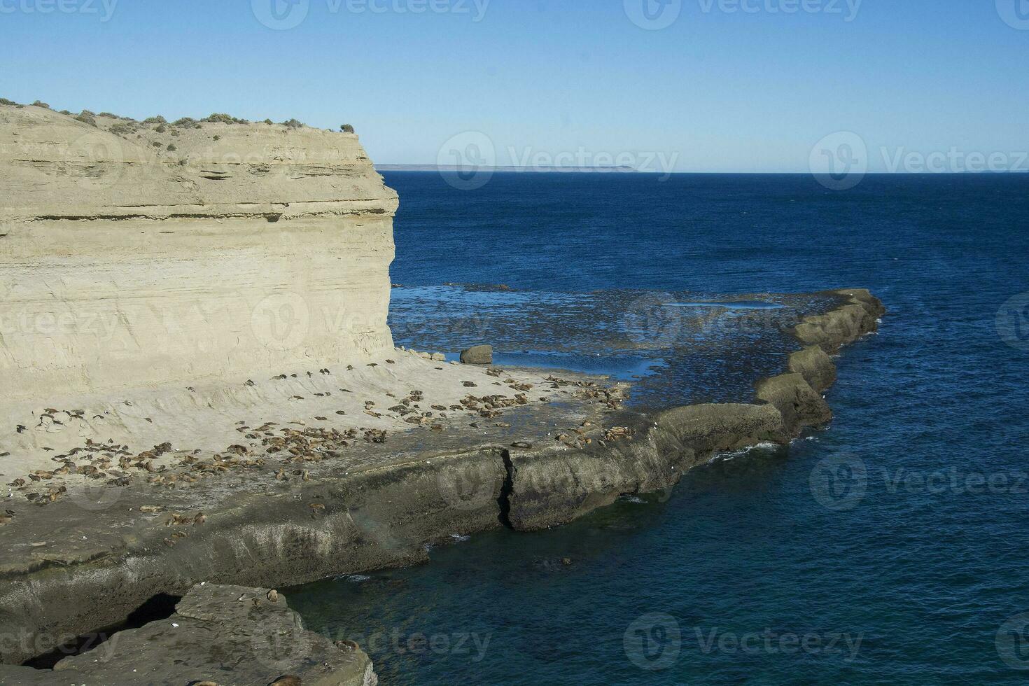 Cliffs landscape in Peninsula Valdes, Unesco World Heritage Site, Chubut Province, Patagonia, Argentina. photo