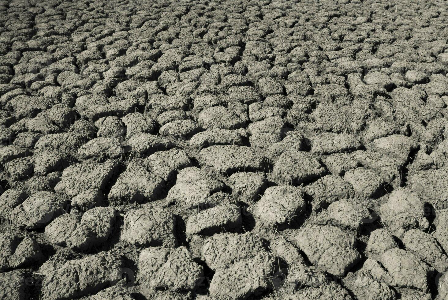 Cracked earth, desertification process,abstract background photo