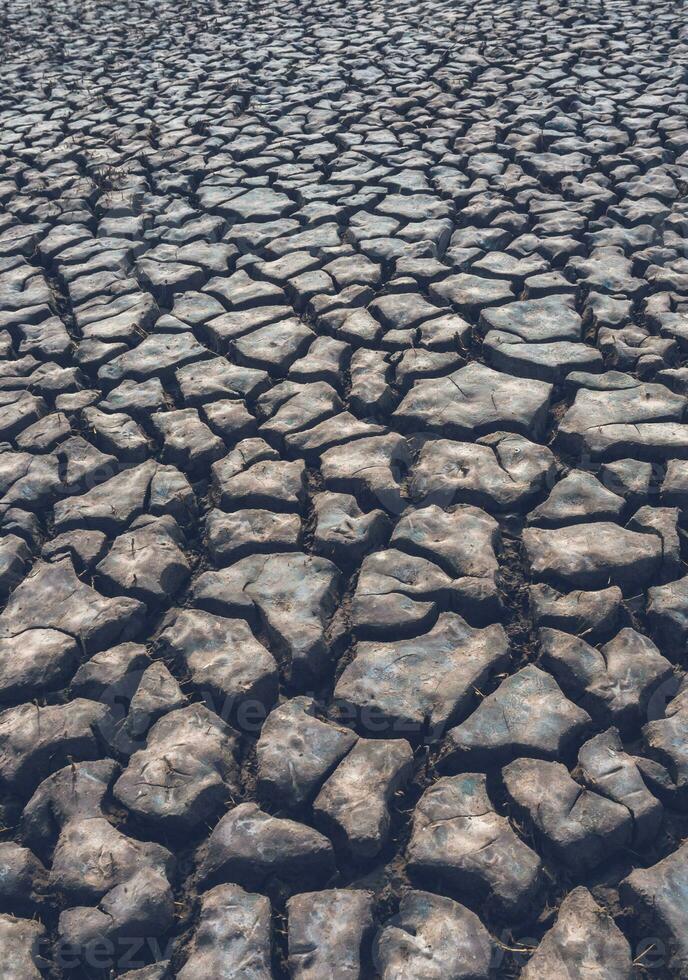 Cracked earth, desertification process photo