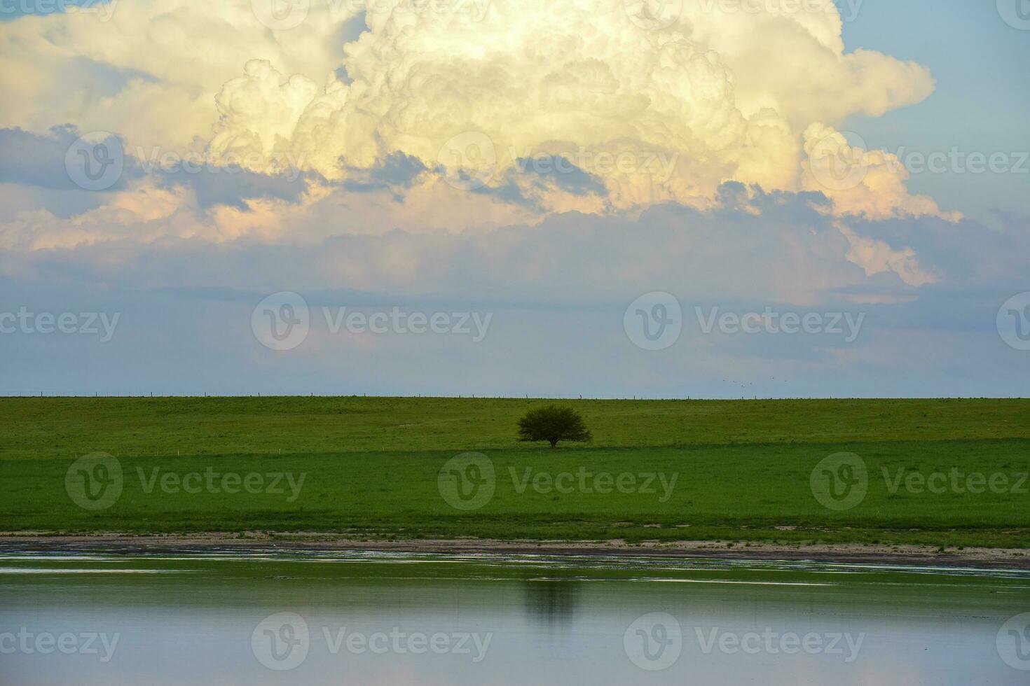 verano paisaje, pampa, Patagonia, argentina foto