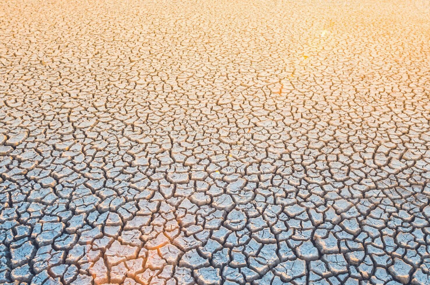 Cracked earth, desertification process,abstract background photo