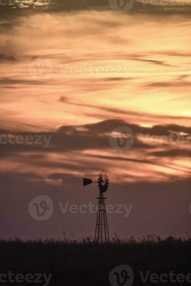 Rural landscape with windmill at sunset, Pampas , Argentina photo