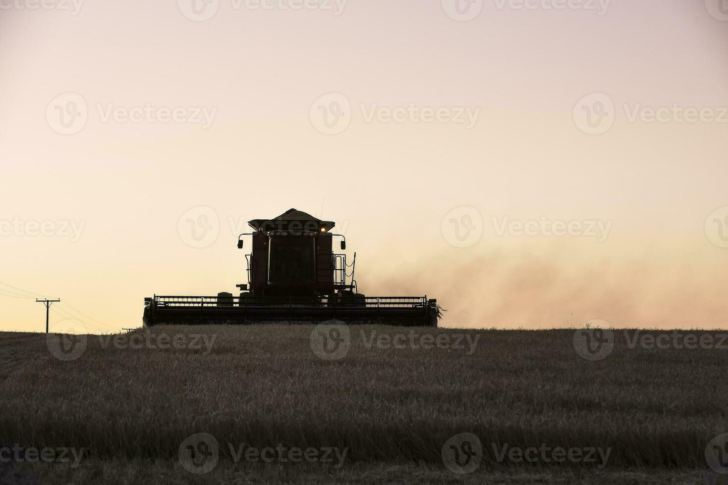 Harvester machine, harvesting in the Argentine countryside, Buenos Aires province, Argentina. photo